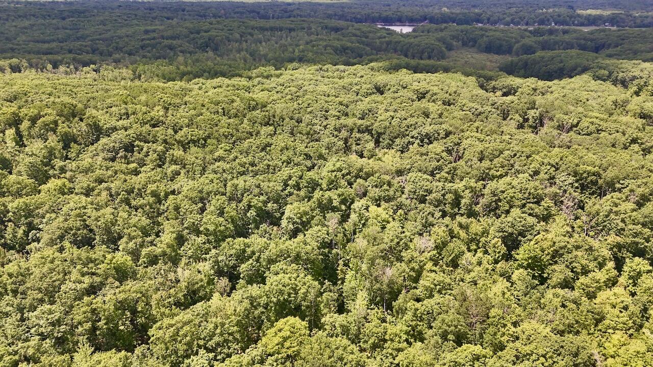 6182 Hamilton Road Harrison, MI 48625 - Photo 31 of 77