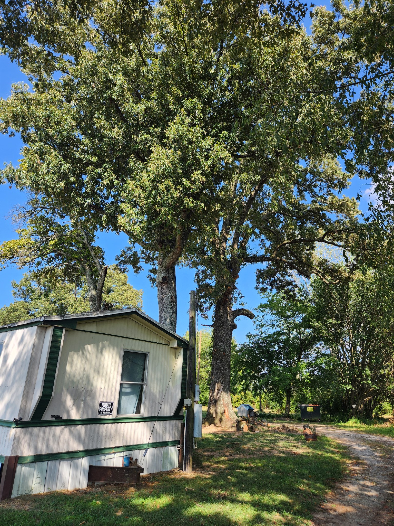 37 V F W Road Elora, TN 37328 - Photo 5 of 13