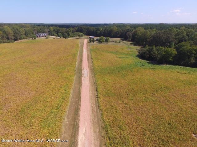 Lot 6 Arkadelphia Road Jasper, AL 35504 - Photo 7 of 9 Gallery Image 7