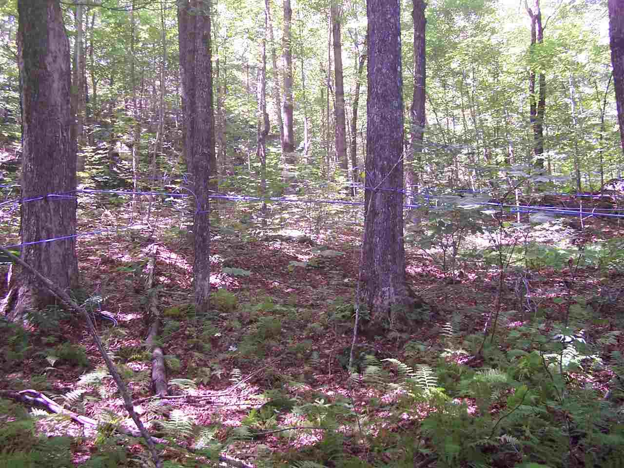 694 New Hampshire Rte 103 Newbury, NH 03255 - Photo 2 of 8 Gallery Image 2