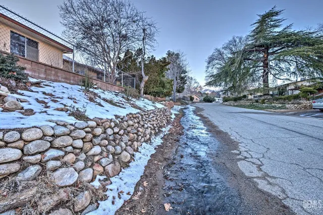 a view of a yard with plants and trees