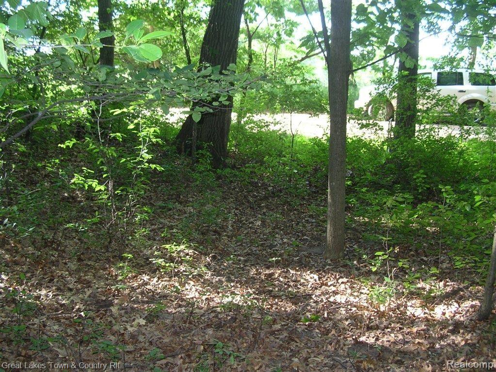 D2 Sutton Road Metamora, MI 48455 - Photo 2 of 6 Sutton Rd