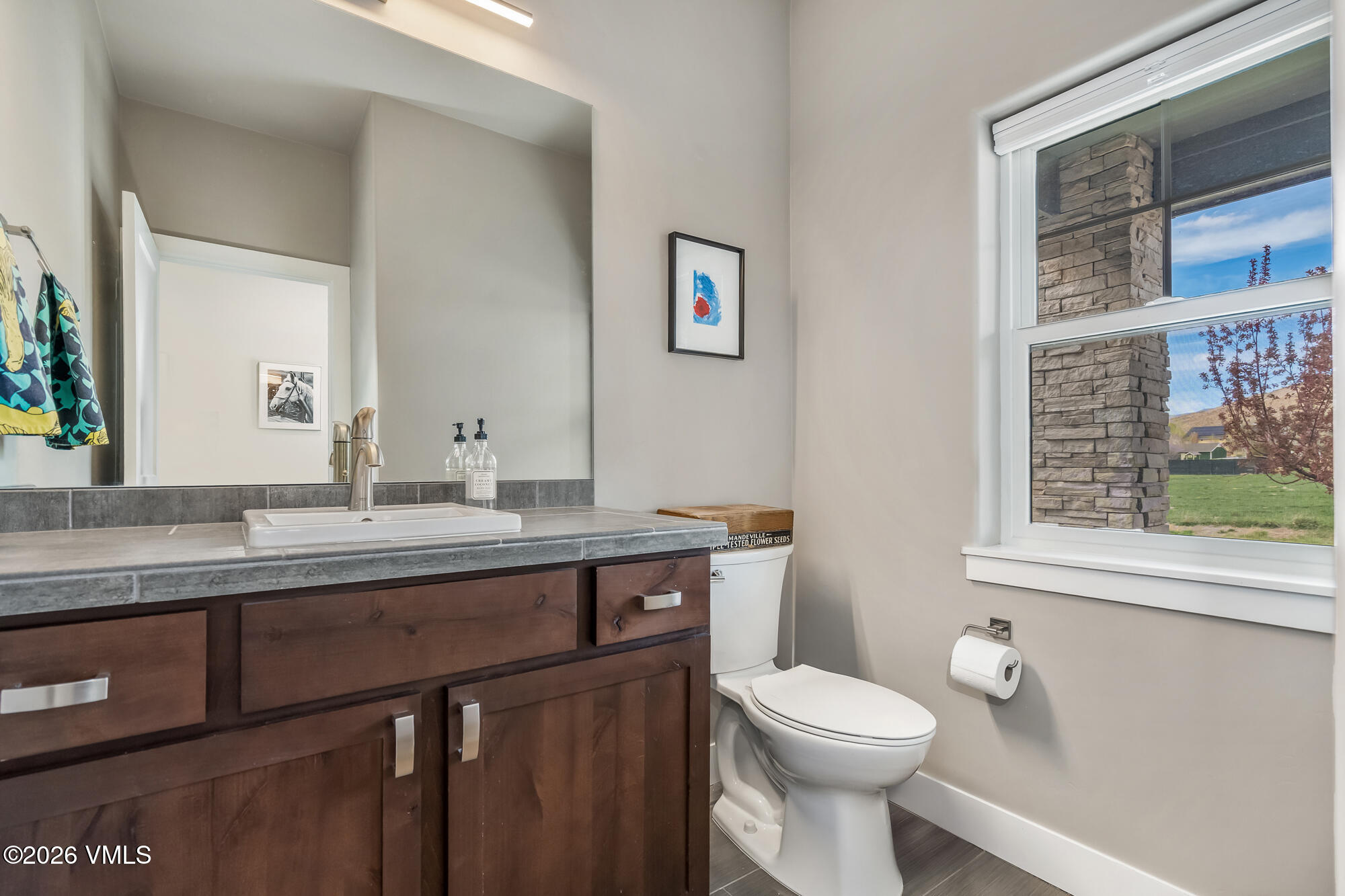 54 Field Street Eagle, CO 81631 - Photo 18 of 36 a bathroom with a toilet a sink a mirror and a window