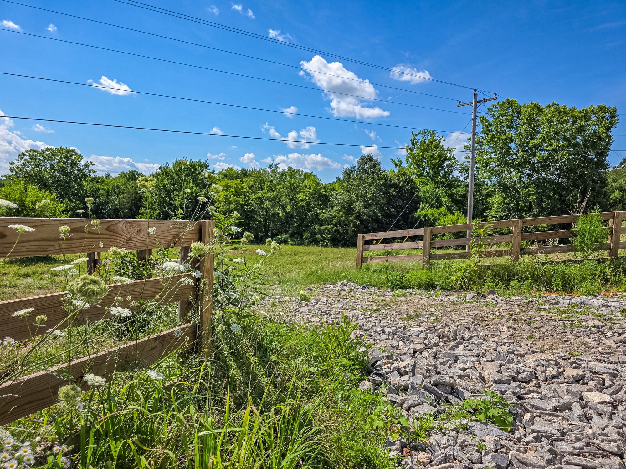 1 Double Branch Road Columbia, TN 38401 - Photo 1 of 7 a view of a garden with plants