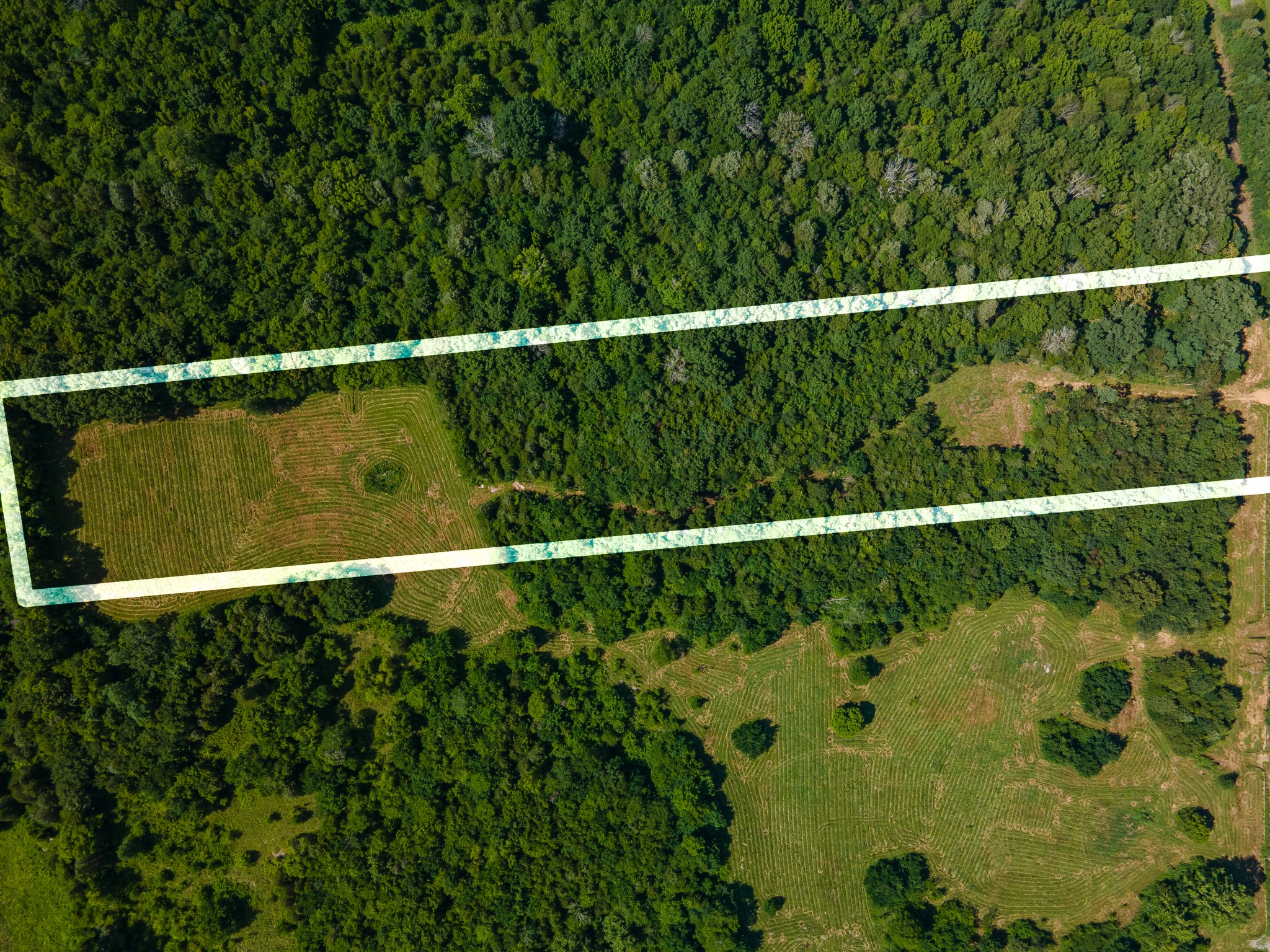 1 Double Branch Road Columbia, TN 38401 - Photo 3 of 7 a view of a balcony