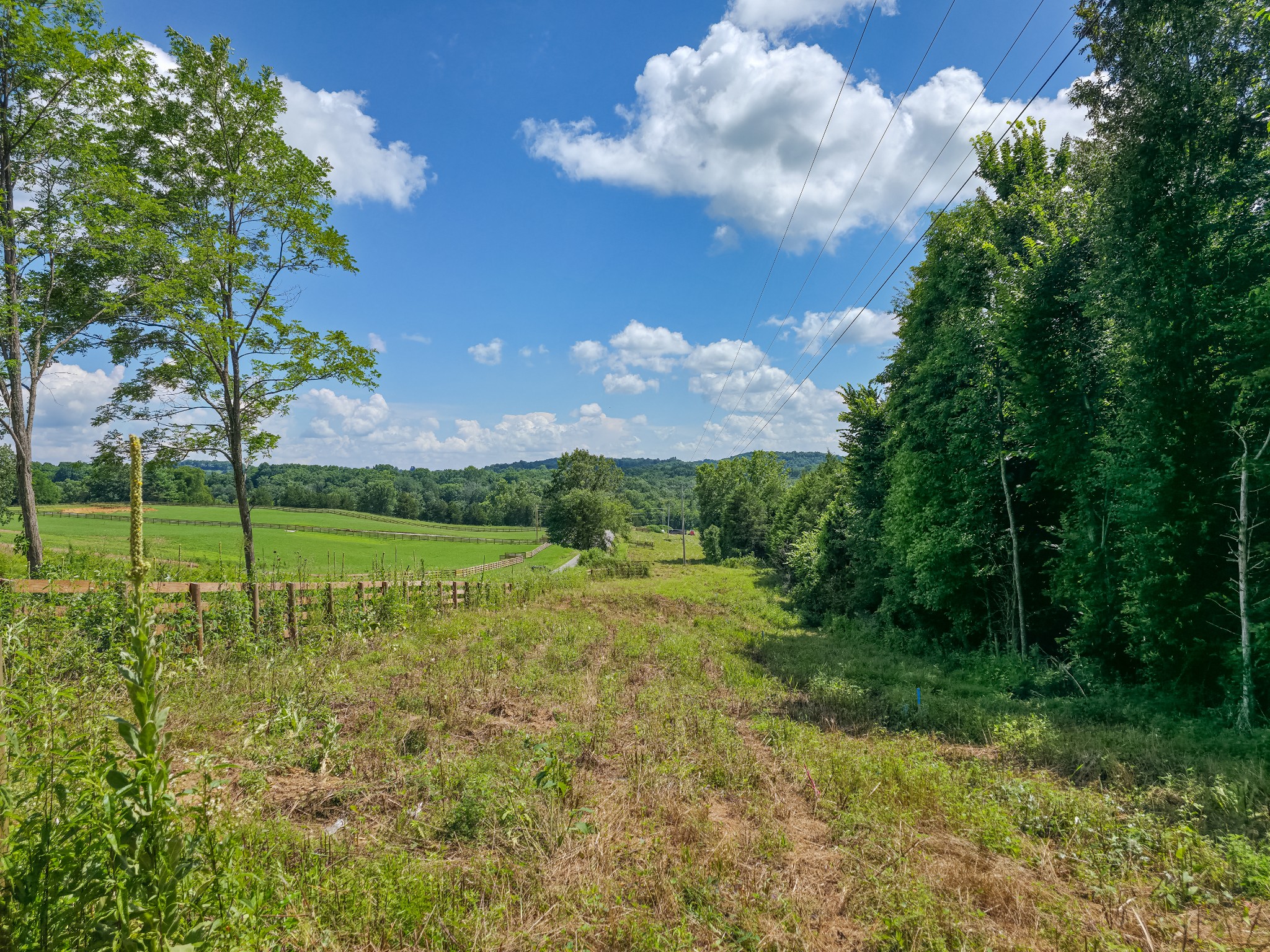1 Double Branch Road Columbia, TN 38401 - Photo 6 of 7 a view of a golf course with a big yard