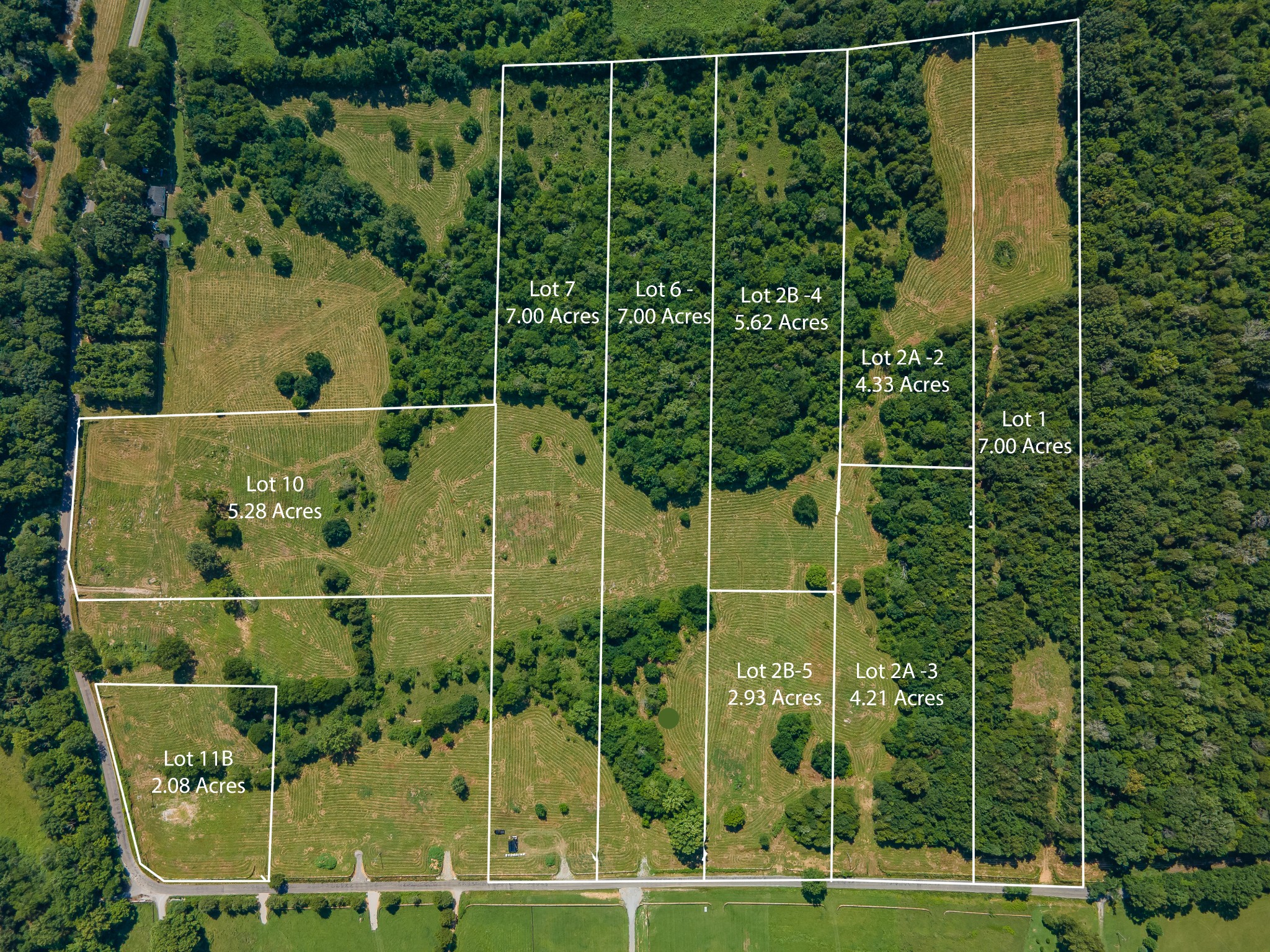 1 Double Branch Road Columbia, TN 38401 - Photo 7 of 7 a view of a garden