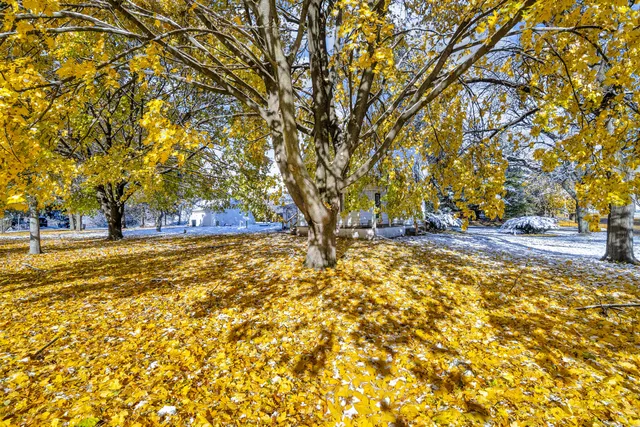 $135,000 | 902 Fleming Avenue, Jackson, MI 49202