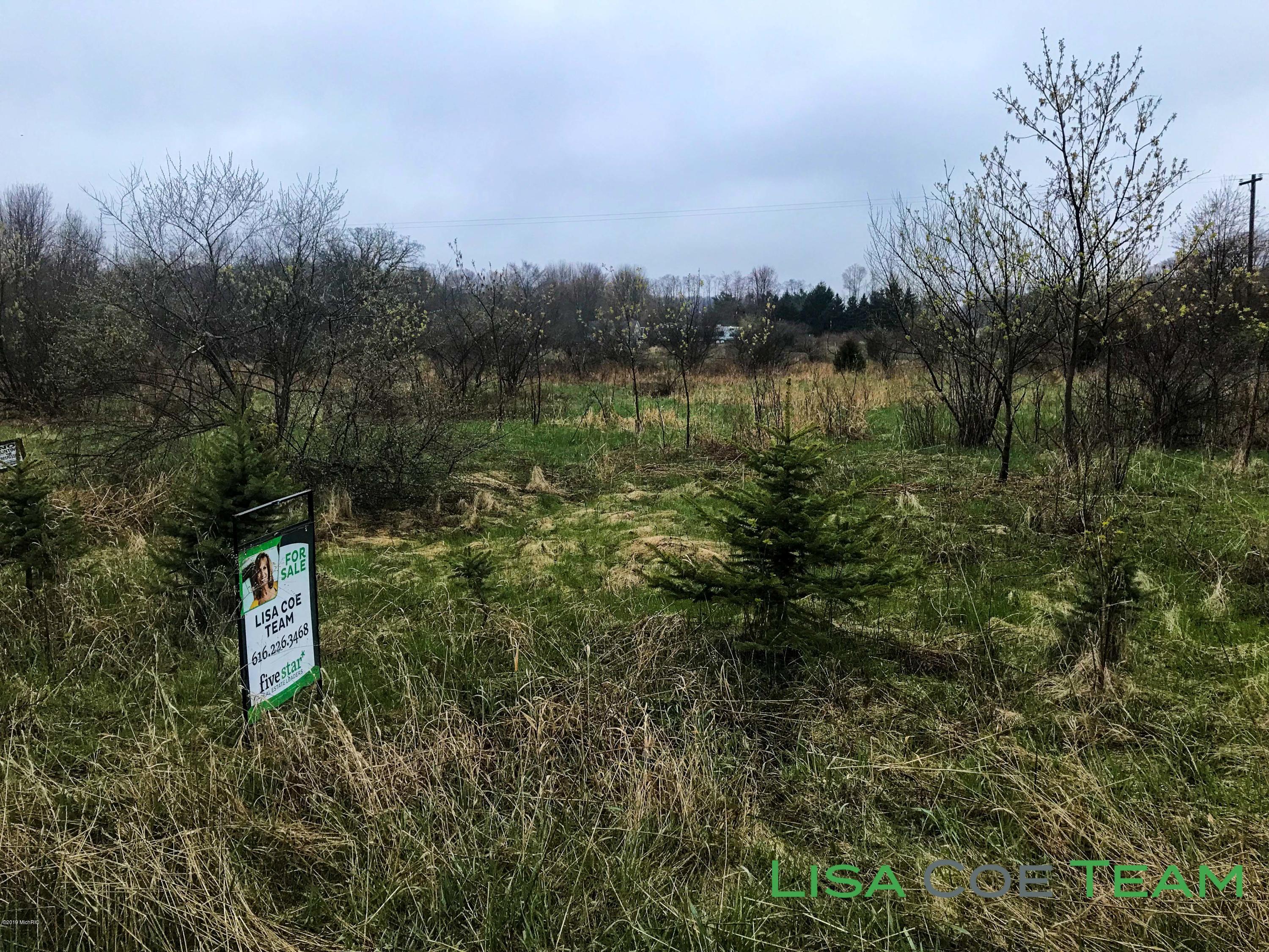 Parcel Barker Road Ionia, MI 48846 - Photo 1 of 3 Loungeareacup1-2