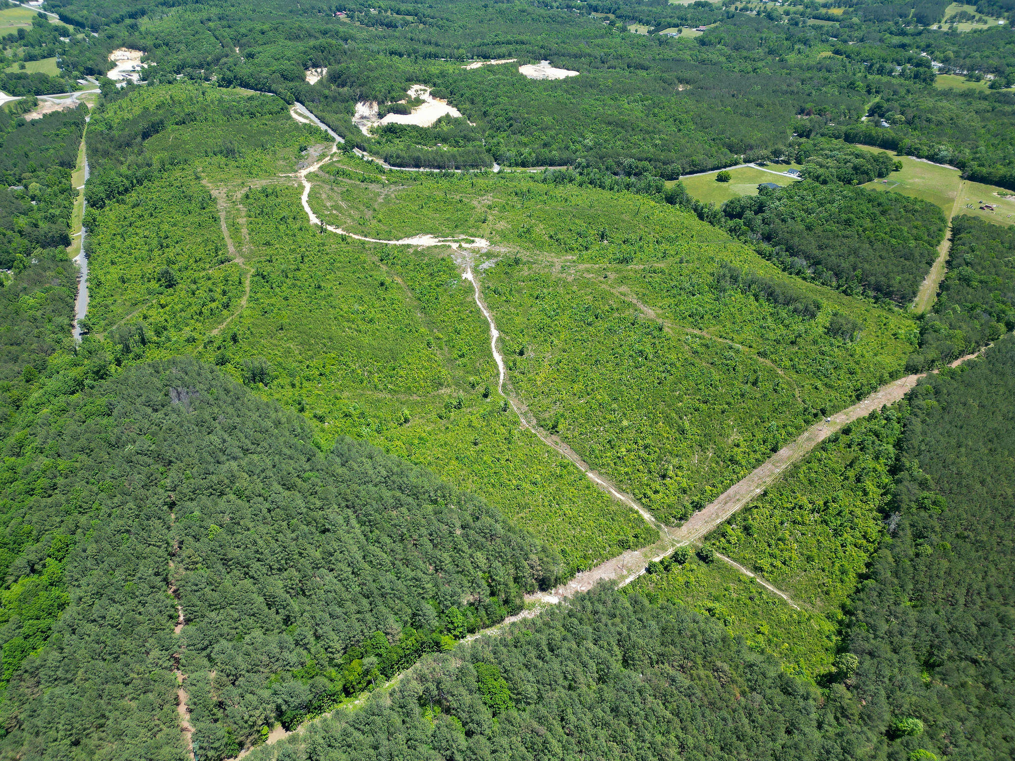 74-acs Bethel Road Valley Head, AL 35989 - Photo 4 of 12 DJI_0211
