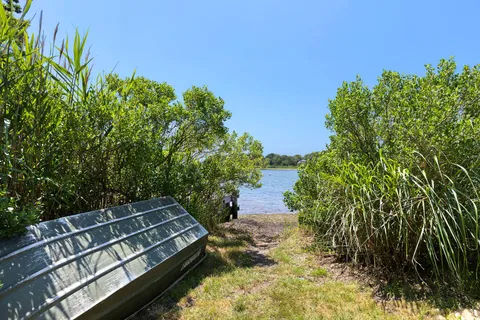 a view of a backyard with plants