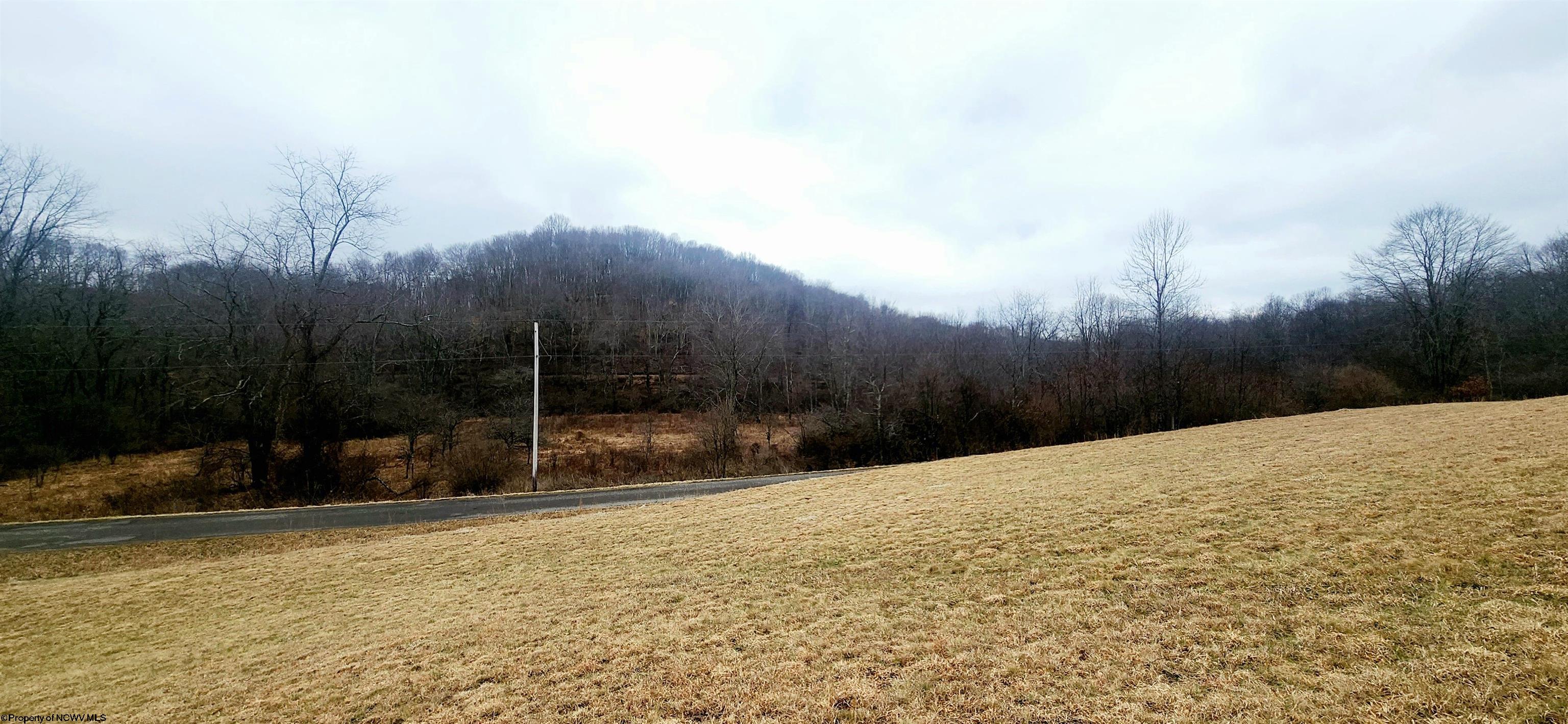 Tbd Tbd Strolling Fairmont, WV 26554 - Photo 4 of 15 Gallery Image 4