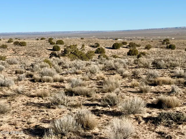 $29,500 | 0 N7009 40 Acres, Chambers, AZ 86502