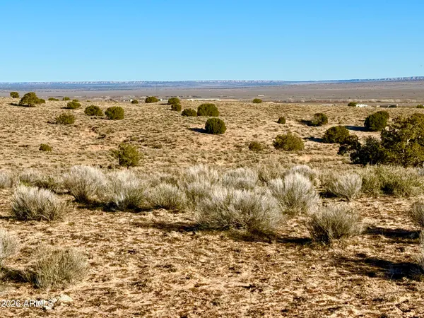 $29,500 | 0 N7009 40 Acres, Chambers, AZ 86502