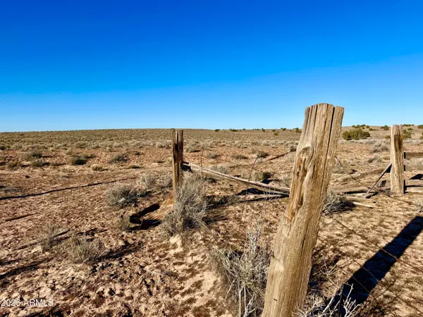 a view of a big yard