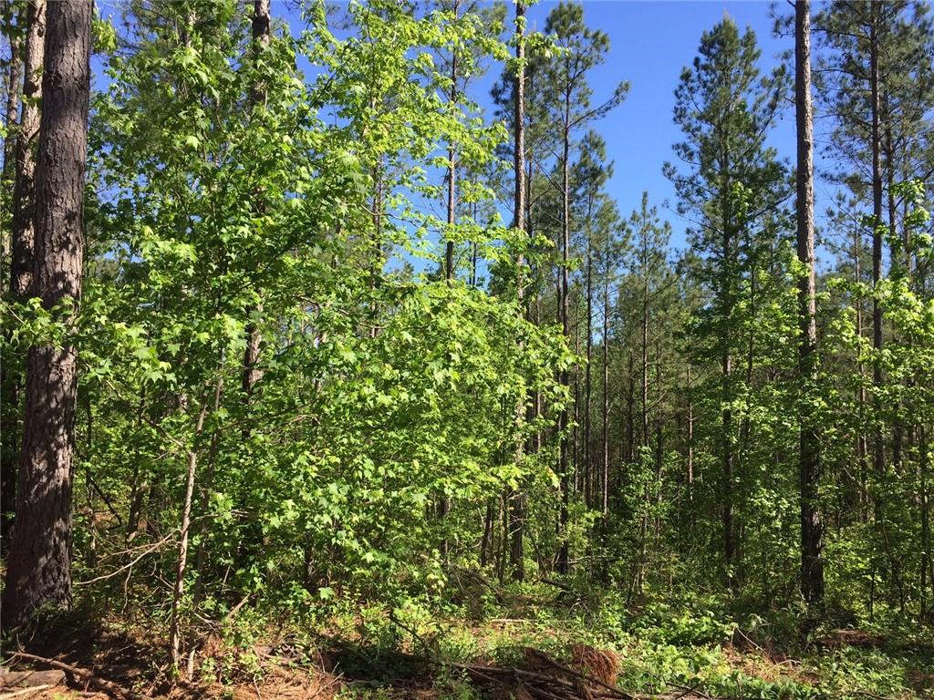0 Pin Hook Road Fairmount, GA 30139 - Photo 1 of 1