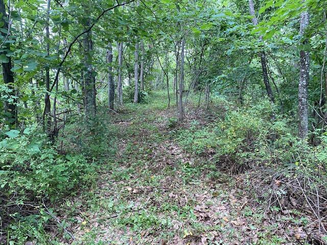 619 Bacon Creek Road Corbin, KY 40701 - Photo 21 of 25 IMG_0106