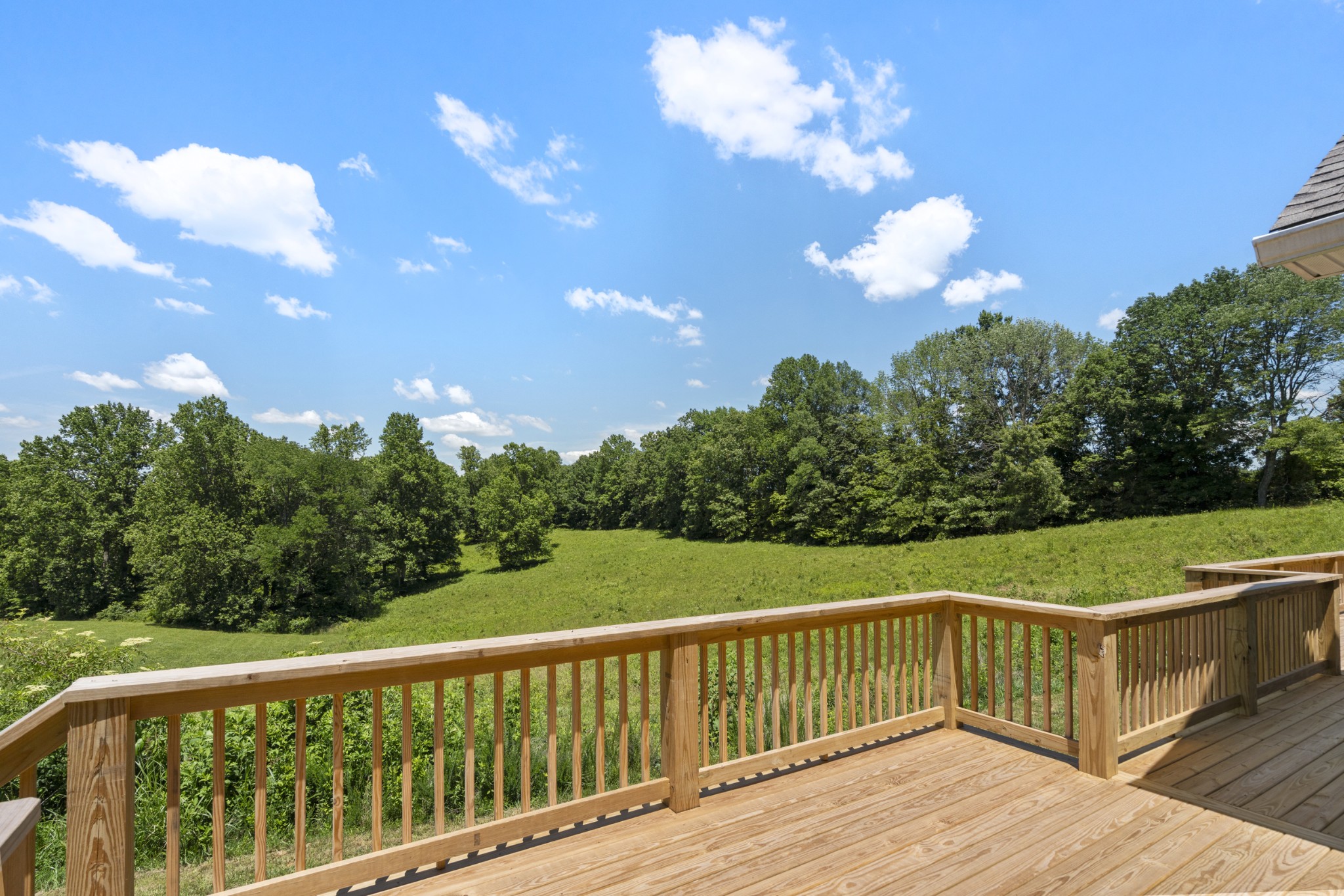 694 Nels Adams Road Dickson, TN 37055 - Photo 3 of 57