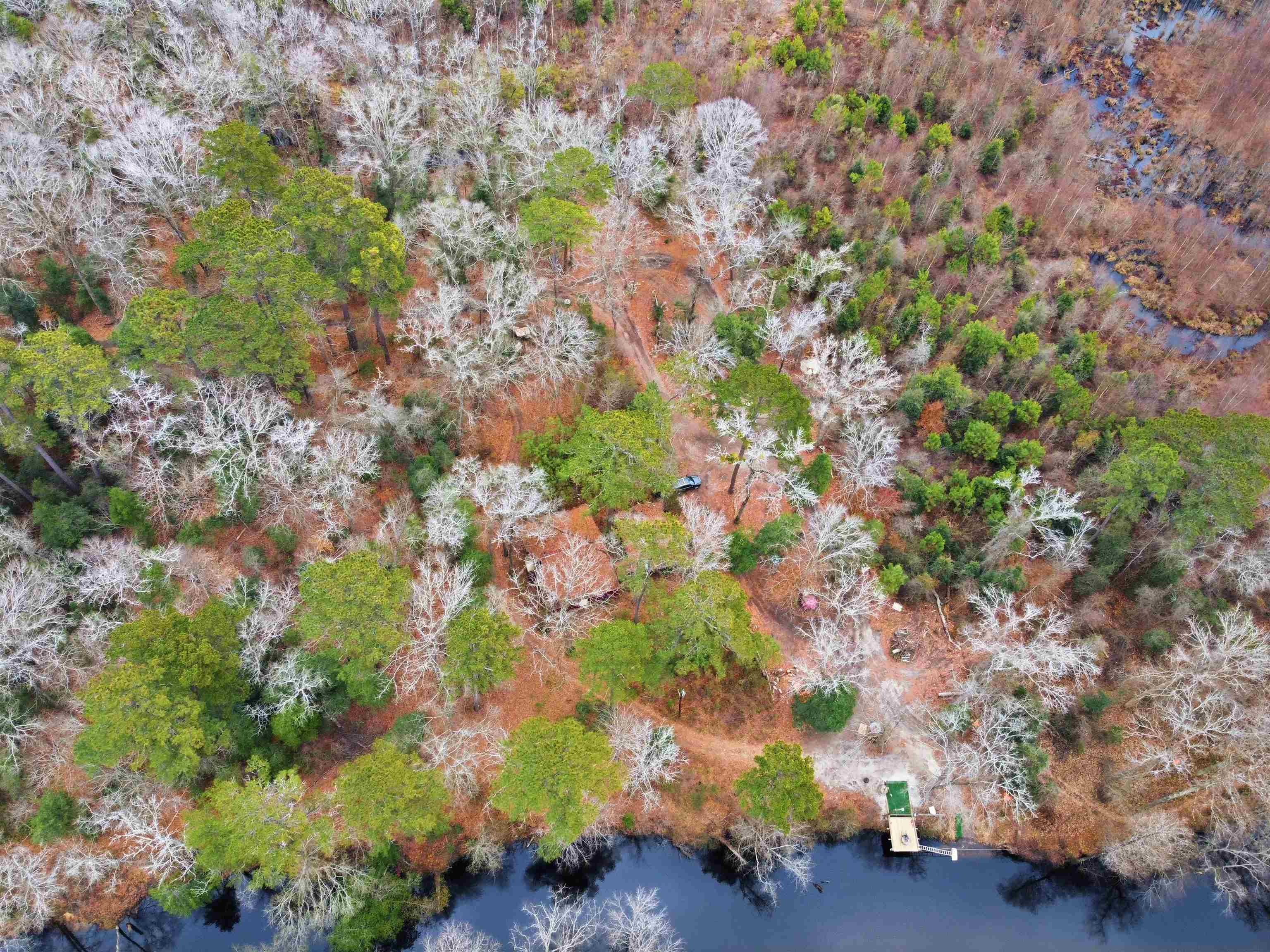 2512 West Black Creek Road Florence, SC 29501 - Photo 3 of 4