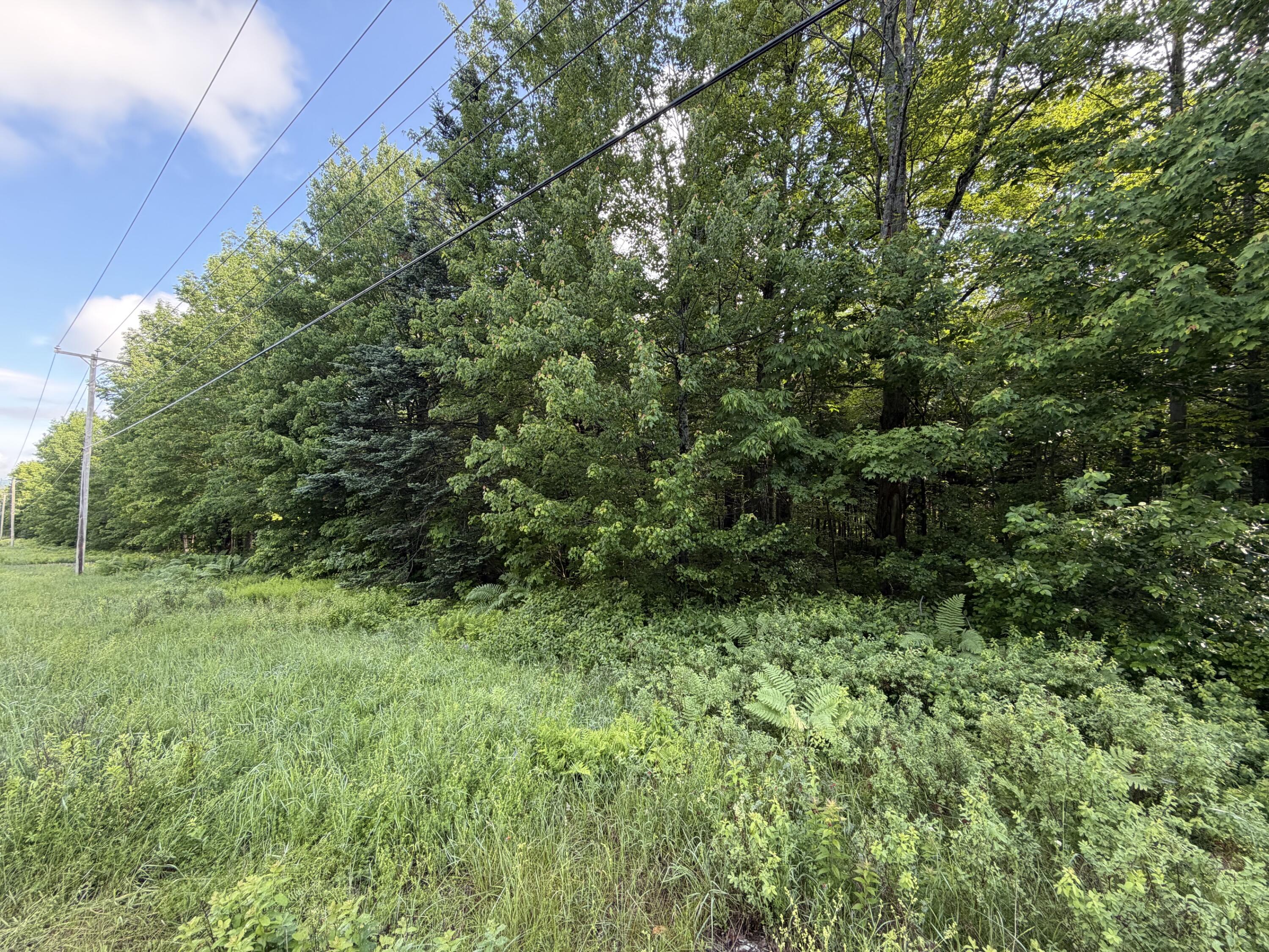 47 Greenville Road, Unit LOT 1 Shirley, ME 04485 - Photo 4 of 6