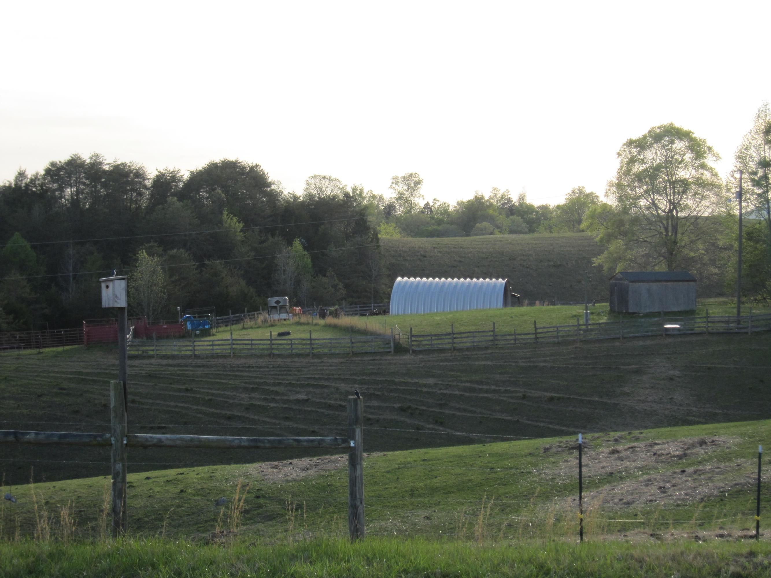 1316 Howell Road Mascot, TN 37806 - Photo 7 of 10 IMG_1179