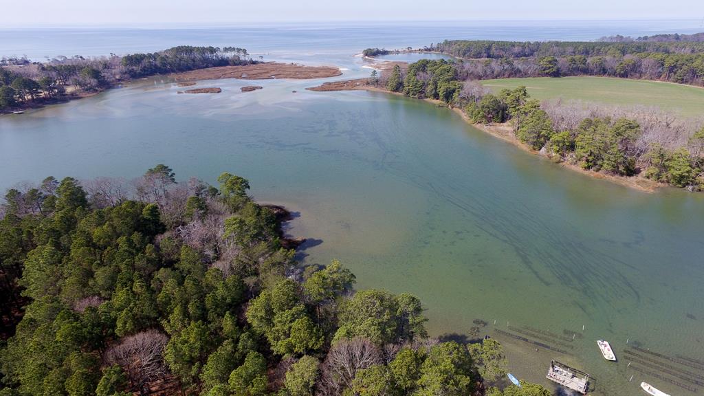 10360 Church Neck Road, Unit 12 Machipongo, VA 23405 - Photo 3 of 18