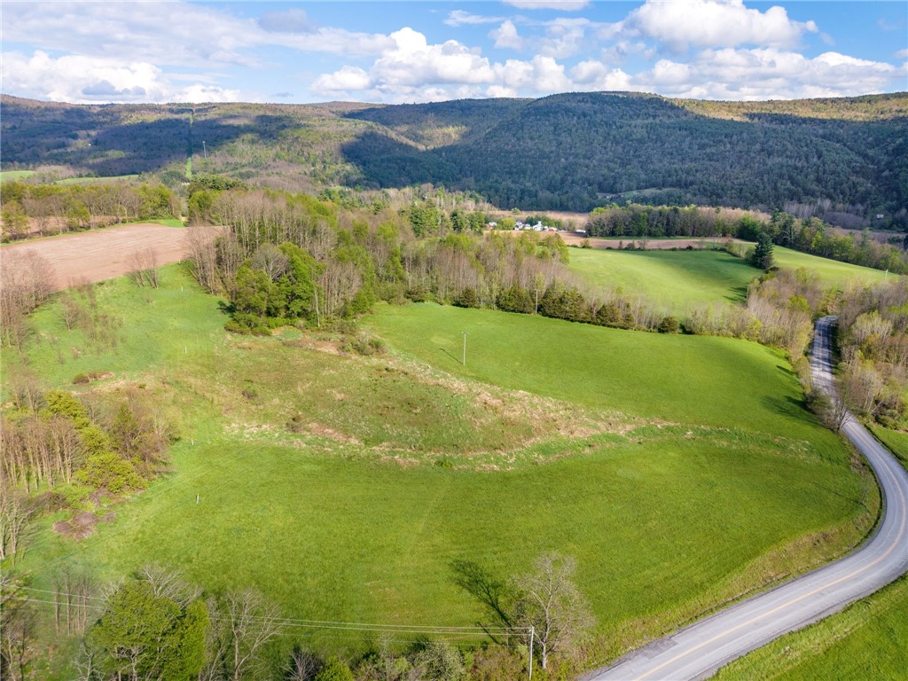 Westkill Road North Blenheim, NY 12131 - Photo 23 of 38