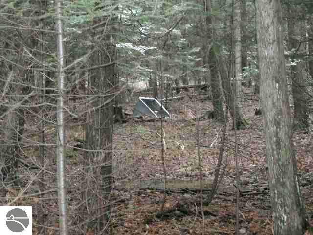0 Sherman Road East Tawas, MI 48730 - Photo 3 of 3 1752694-2.JPG