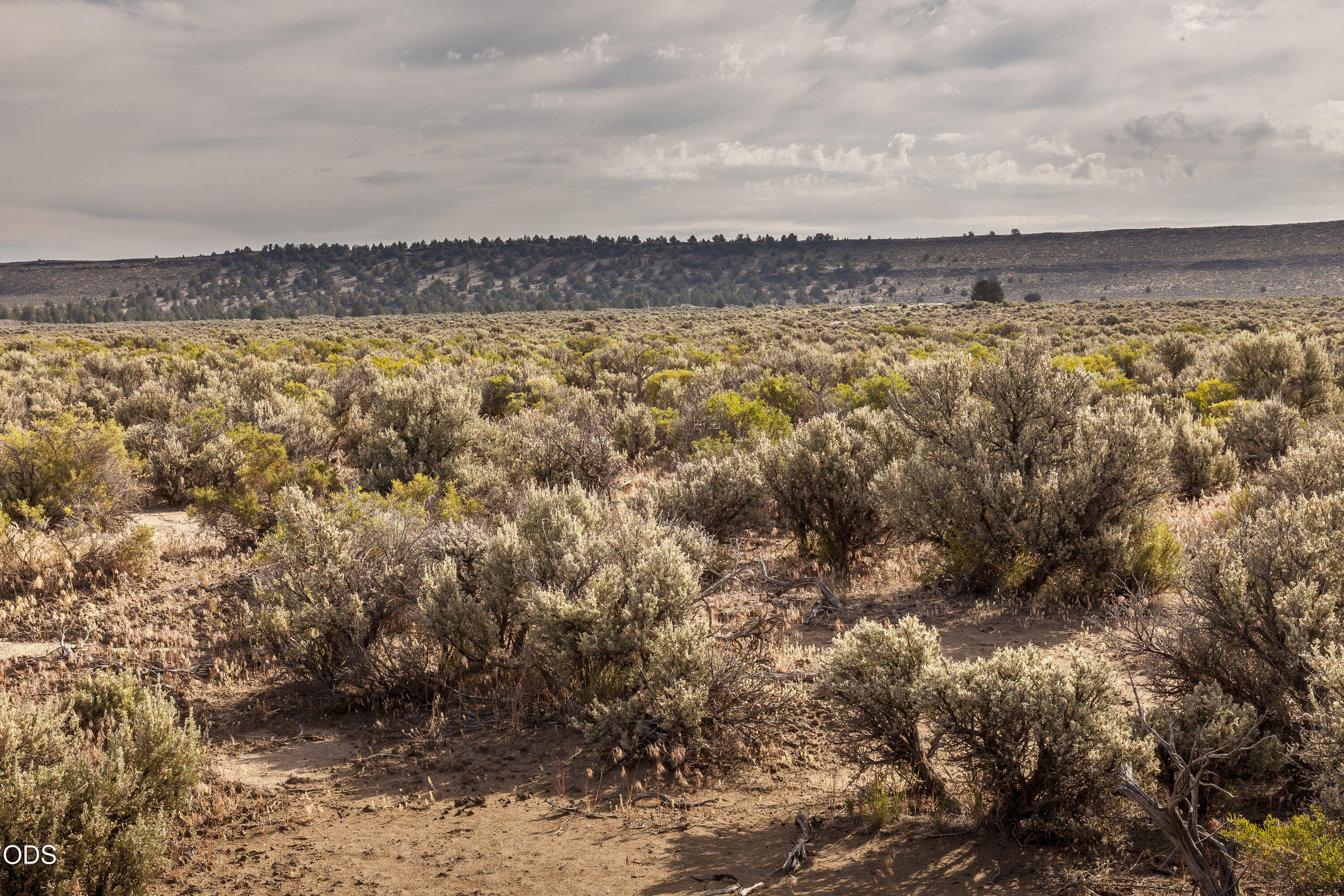 0 Buffalo Wells Road Christmas Valley, OR 97641 - Photo 16 of 17