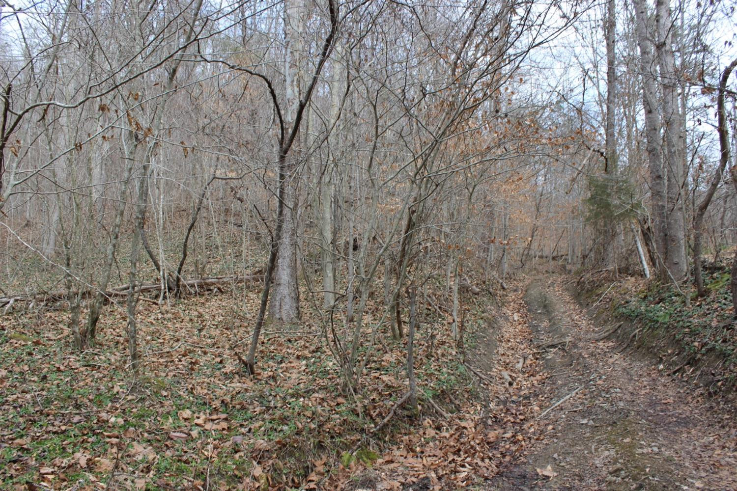 2010 Pryse Road Irvine, KY 40336 - Photo 8 of 56 Photo 8