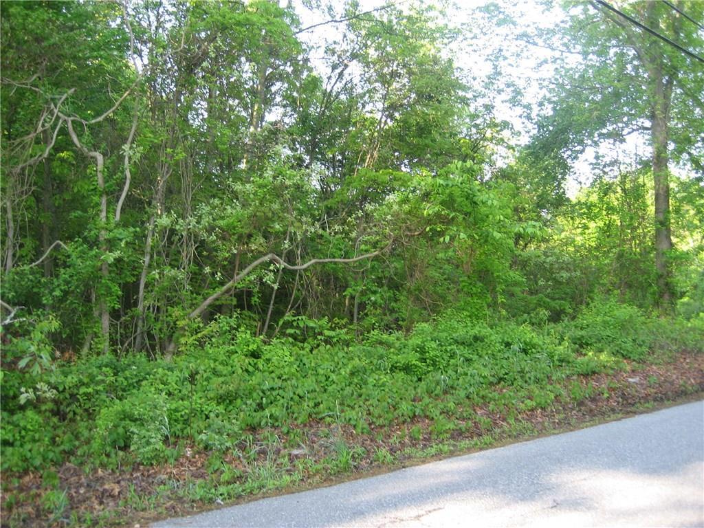 0 Butts Bridge Road Canterbury, CT 06331 - Photo 1 of 1 a view of a lush green forest