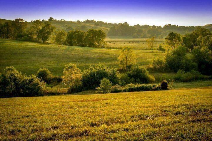 0 Deer Chase Road Danville, KY 40422 - Photo 11 of 20 Deer Chase 11
