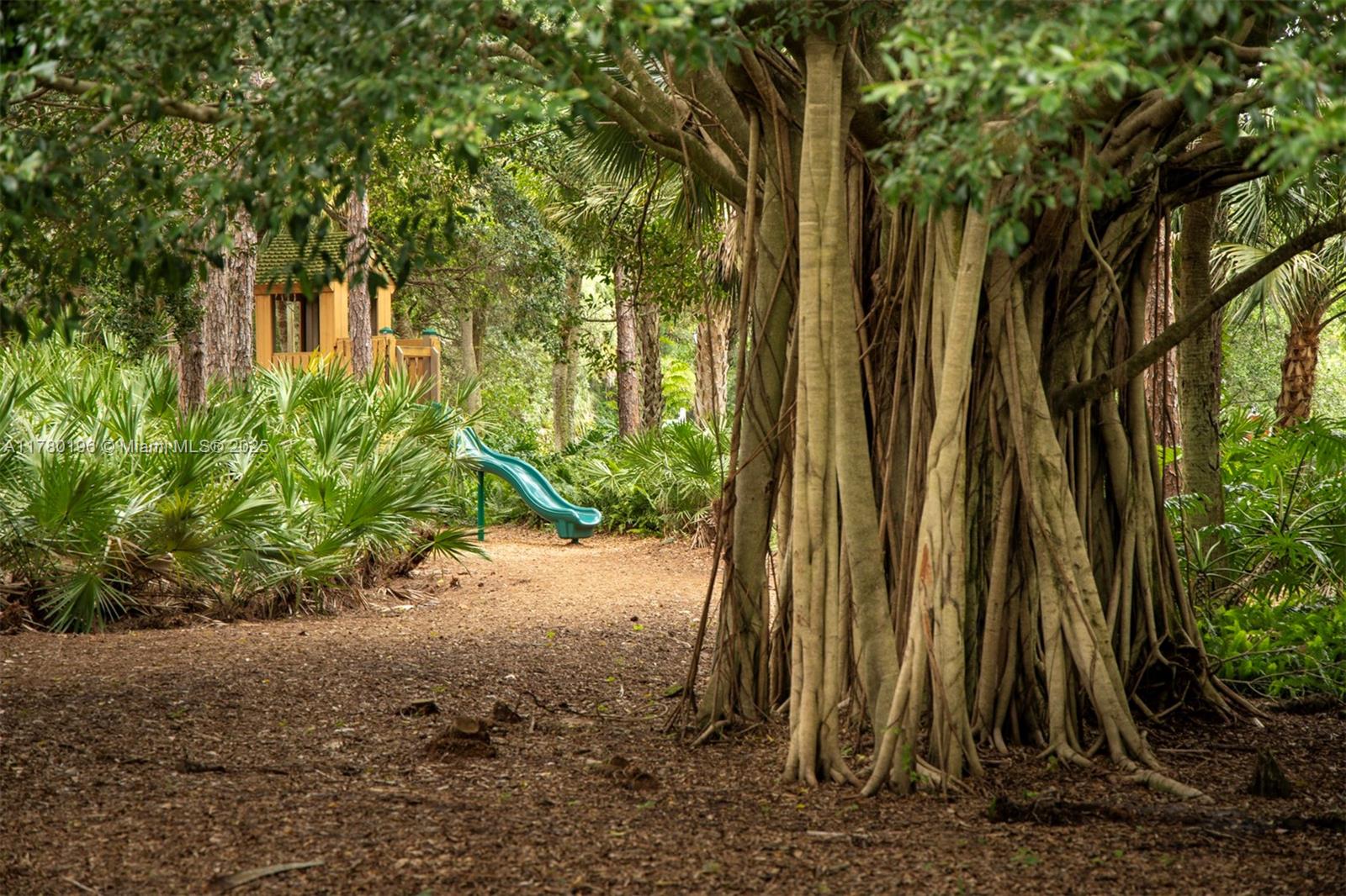 18295 Lake Bend Drive Jupiter, FL 33458 - Photo 59 of 64 a view of a backyard