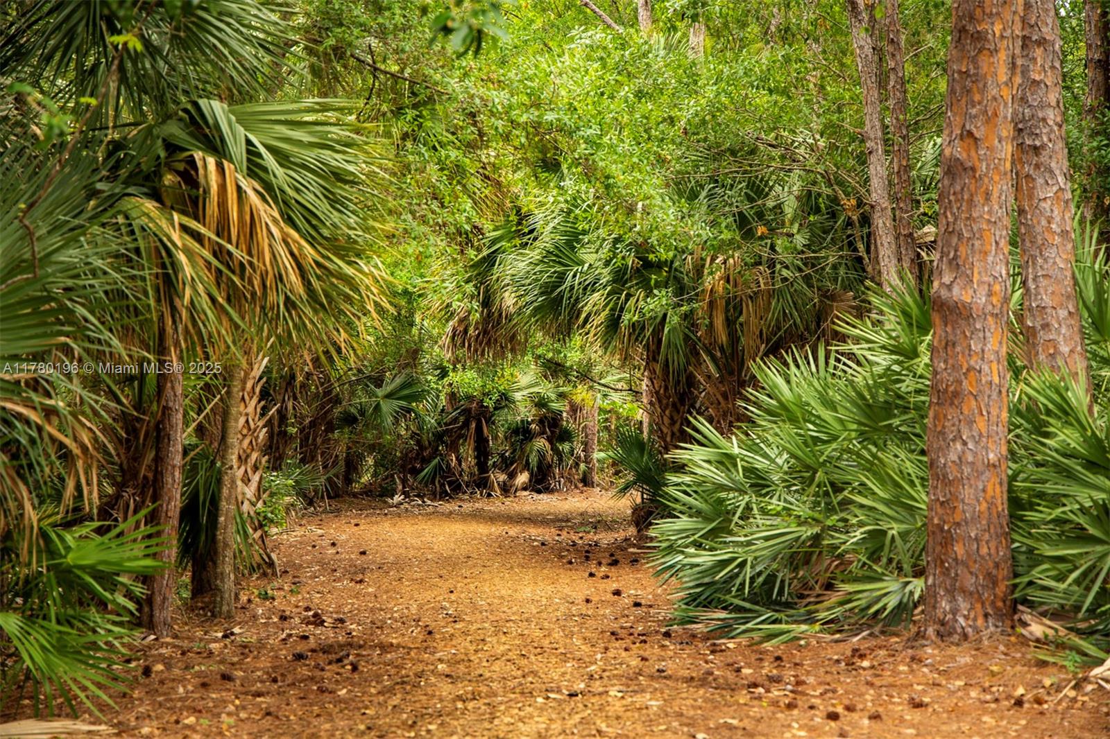 18295 Lake Bend Drive Jupiter, FL 33458 - Photo 60 of 64 a view of yard
