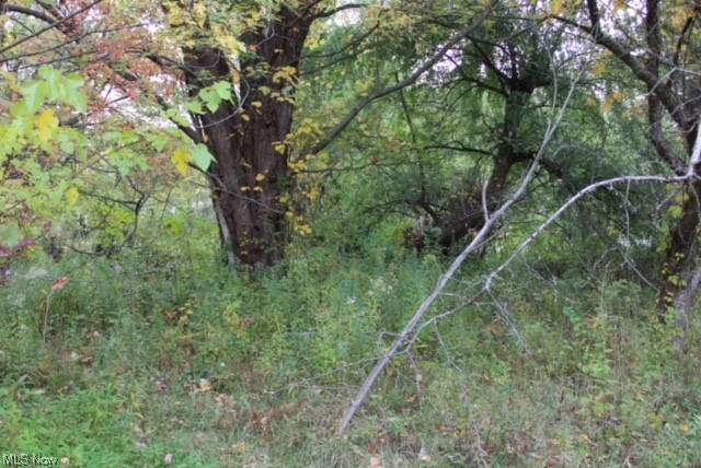 1019 Sill Road Ashtabula, OH 44004 - Photo 2 of 14 View of local wilderness