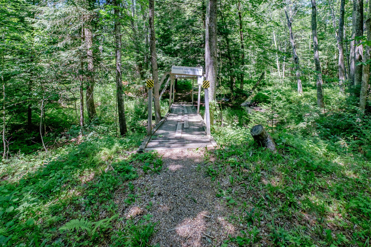 8 Heather Lane Cumberland Center, ME 04021 - Photo 42 of 43 20190708gp-60112