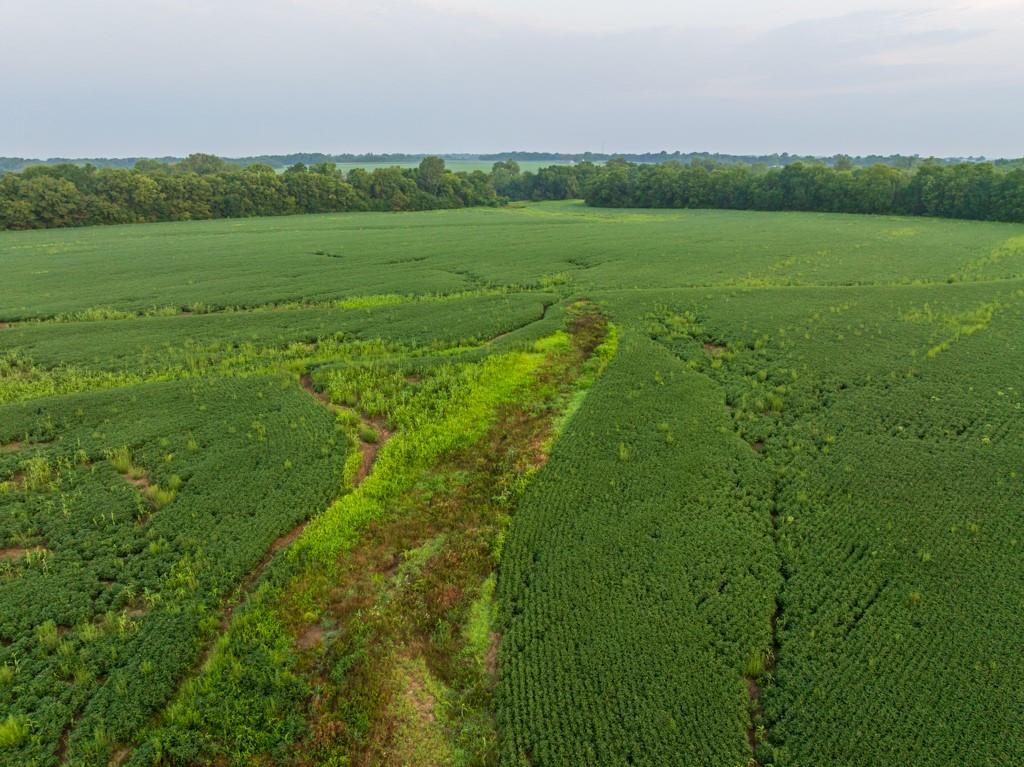 Tbd Southwest 1300 Road Chilhowee, MO 64733 - Photo 12 of 67 Gallery Image 12