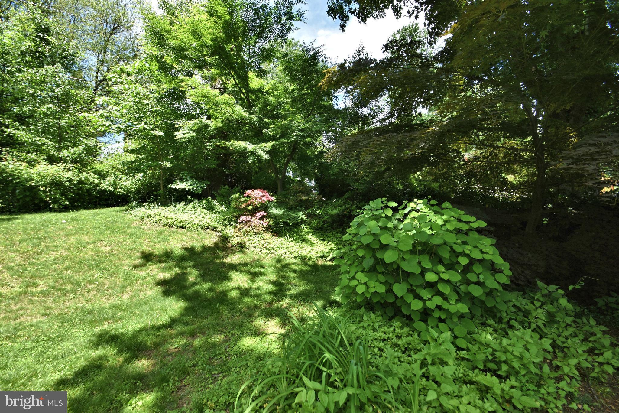 538 Pinetree Road Jenkintown, PA 19046 - Photo 22 of 26 Gallery Image 22