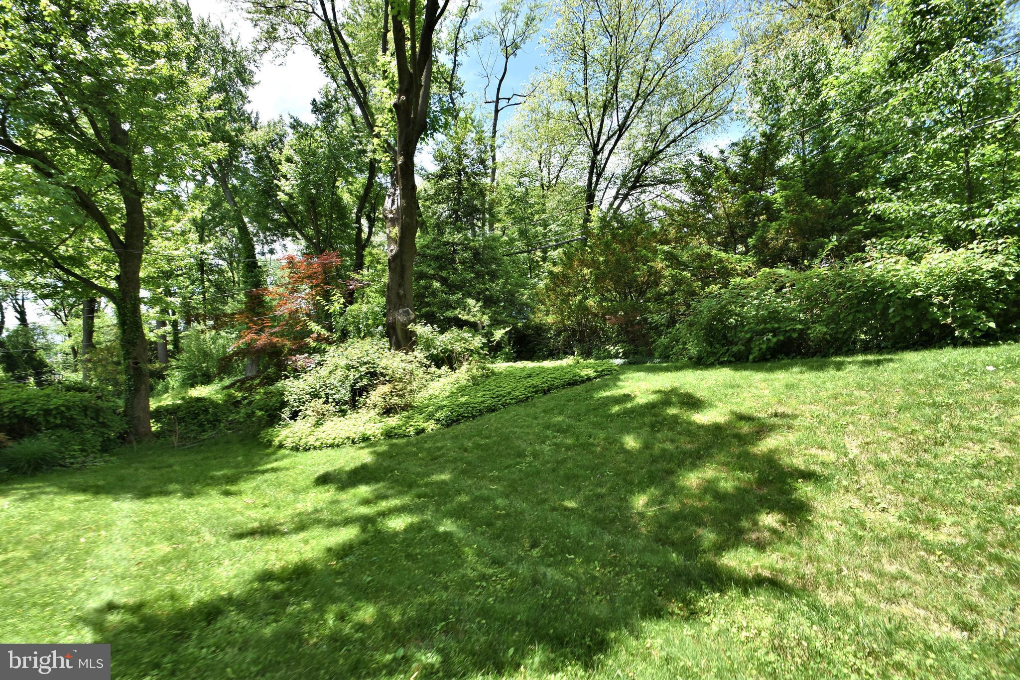538 Pinetree Road Jenkintown, PA 19046 - Photo 23 of 26 Gallery Image 23