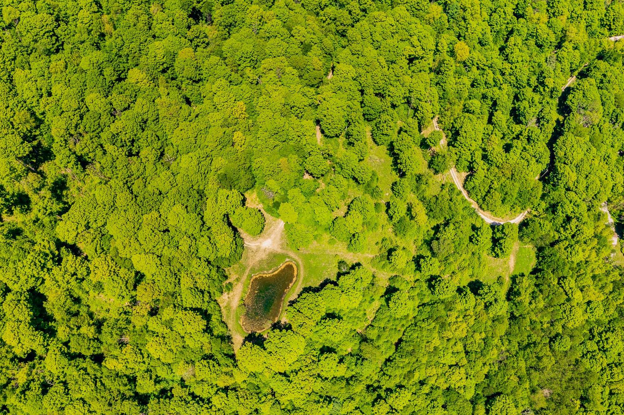 A Windsor Road Manchester Center, VT 05255 - Photo 11 of 22