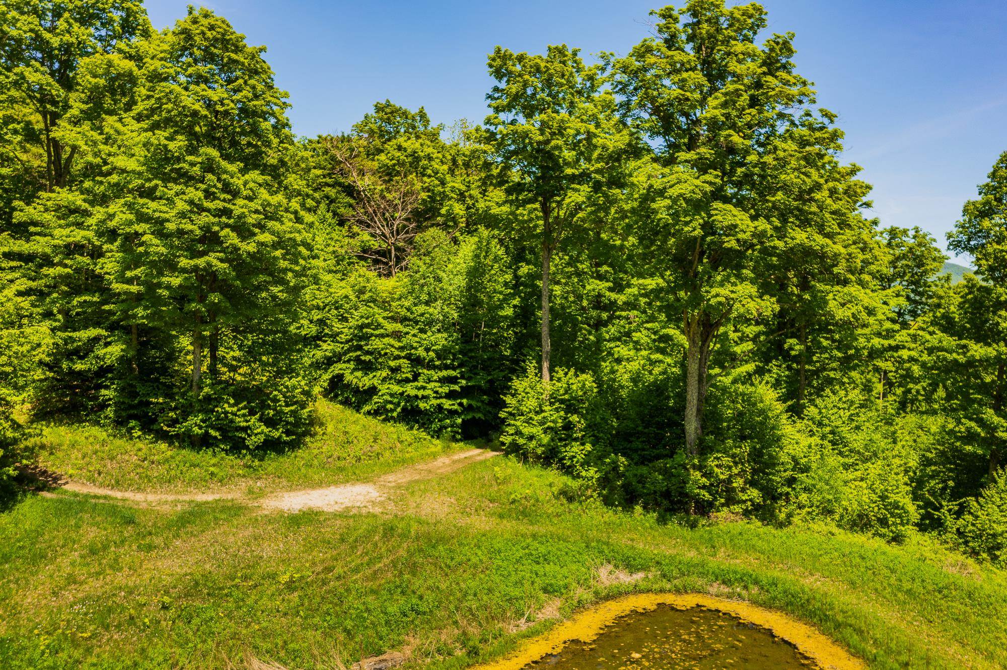 A Windsor Road Manchester Center, VT 05255 - Photo 17 of 22