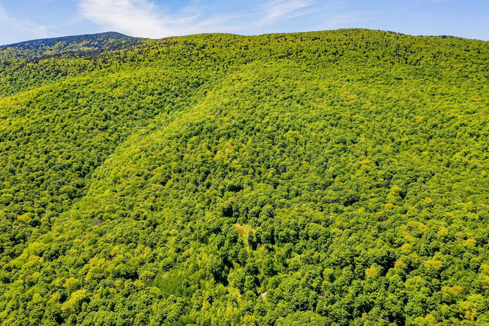 A Windsor Road Manchester Center, VT 05255 - Photo 18 of 22