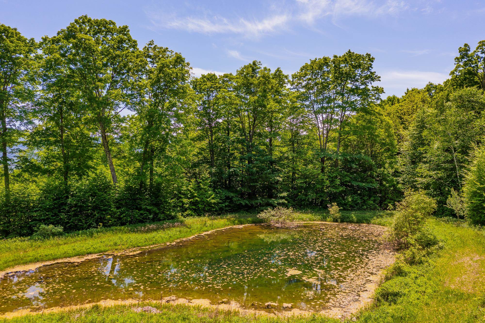 A Windsor Road Manchester Center, VT 05255 - Photo 19 of 22