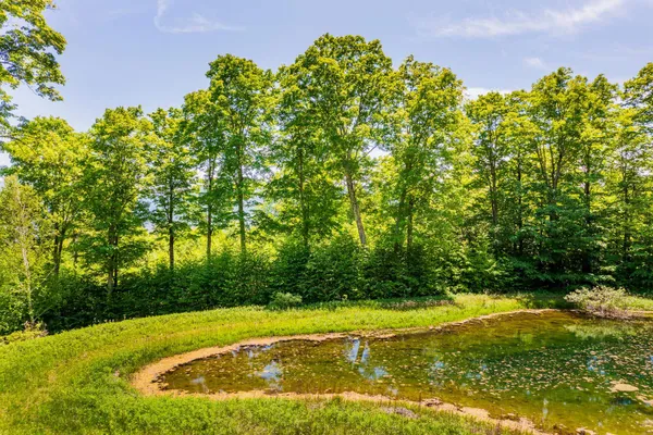 $895,000 | A Windsor Road, Manchester Center, VT 05255