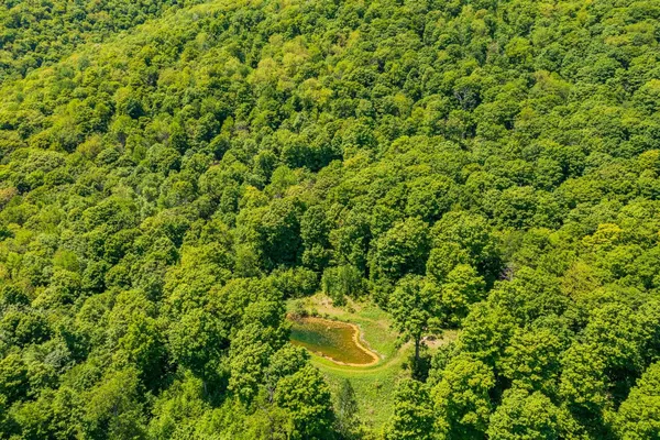 $895,000 | A Windsor Road, Manchester Center, VT 05255