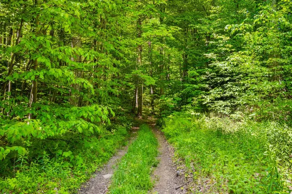 $895,000 | A Windsor Road, Manchester Center, VT 05255