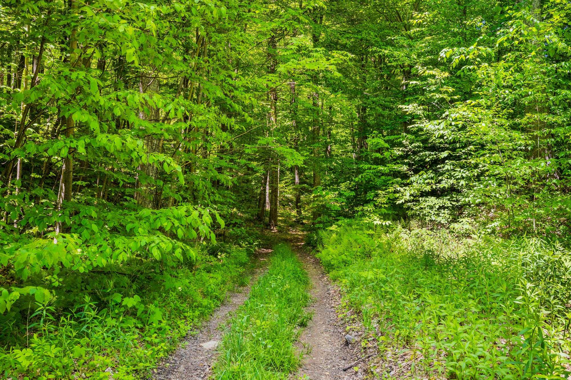 A Windsor Road Manchester Center, VT 05255 - Photo 21 of 22