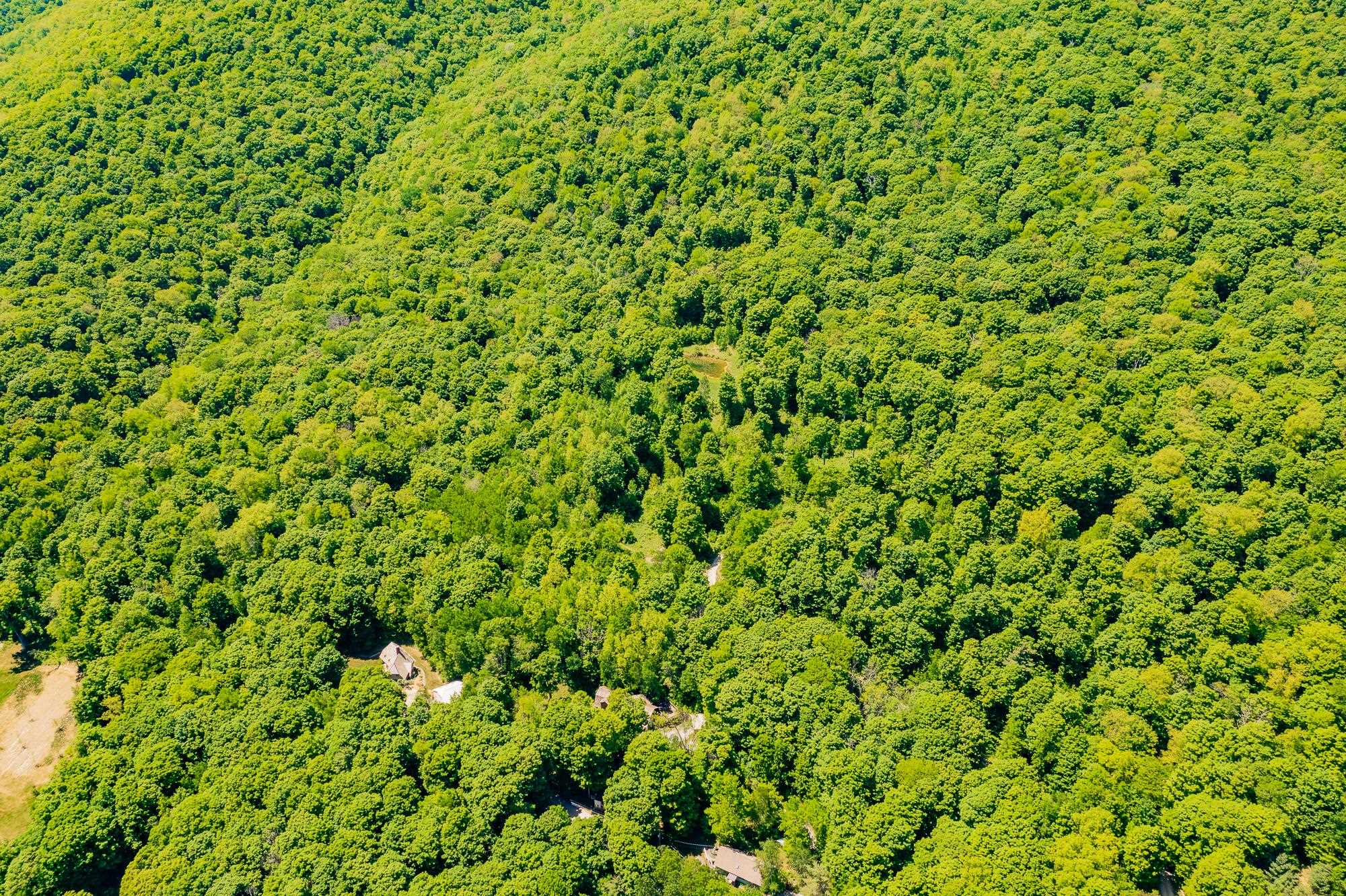 A Windsor Road Manchester Center, VT 05255 - Photo 22 of 22