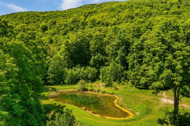 $895,000 | A Windsor Road, Manchester Center, VT 05255
