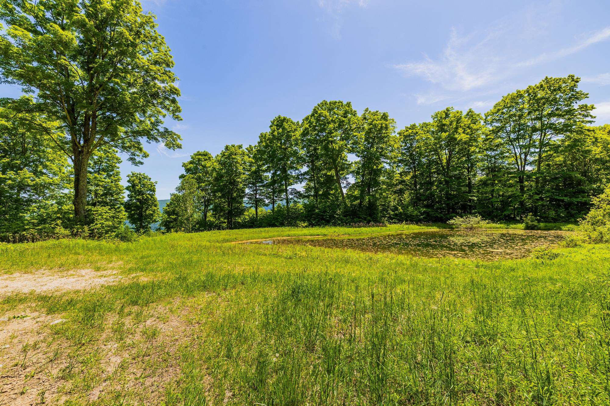 A Windsor Road Manchester Center, VT 05255 - Photo 7 of 22
